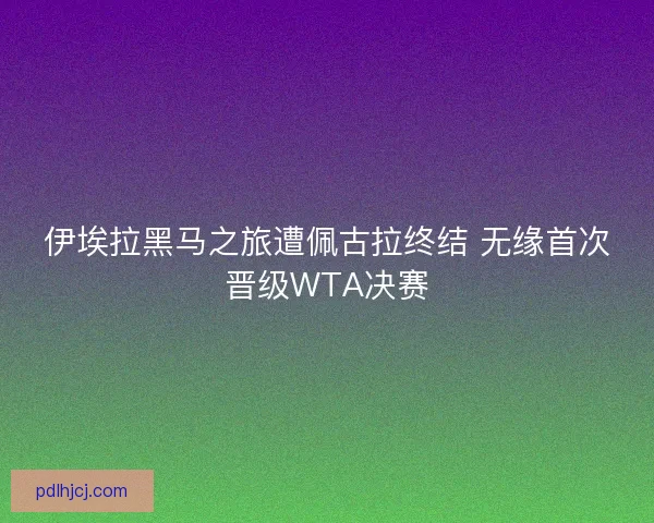 伊埃拉黑马之旅遭佩古拉终结 无缘首次晋级WTA决赛
