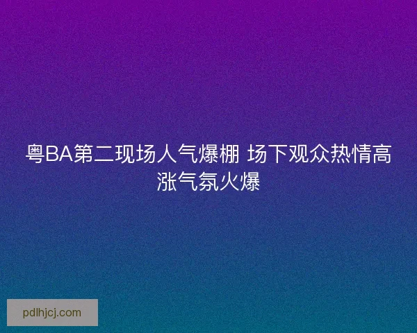 粤BA第二现场人气爆棚 场下观众热情高涨气氛火爆