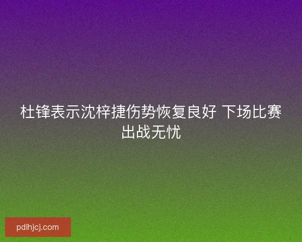 杜锋表示沈梓捷伤势恢复良好 下场比赛出战无忧